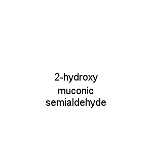 2-hydroxy muconic semialdehyde